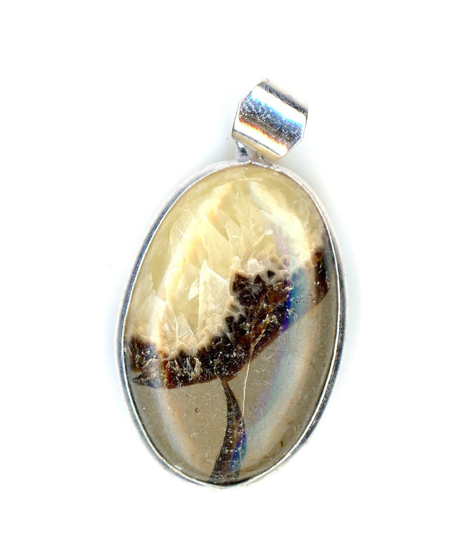 Přívěšek septárie - Supreme Panthers