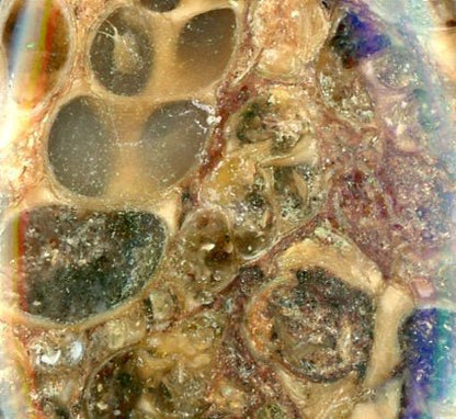 Přívěšek turritella achát - Supreme Panthers