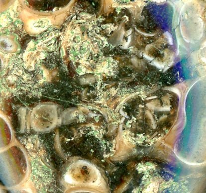 Přívěšek turritella achát - Supreme Panthers