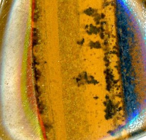 Přívěšek tygří oko - Supreme Panthers