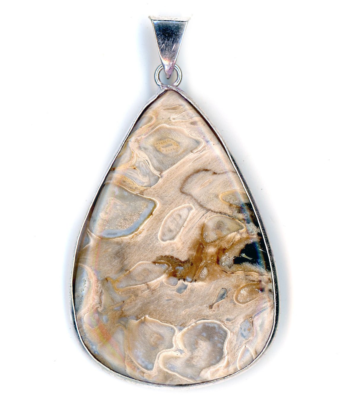 Přívěšek zkamenělá palma - Supreme Panthers