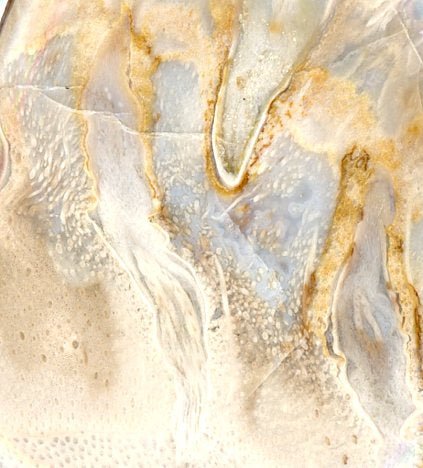 Přívěšek zkamenělá palma - Supreme Panthers