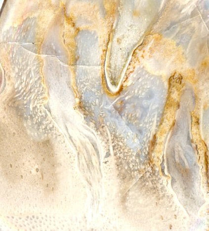 Přívěšek zkamenělá palma - Supreme Panthers