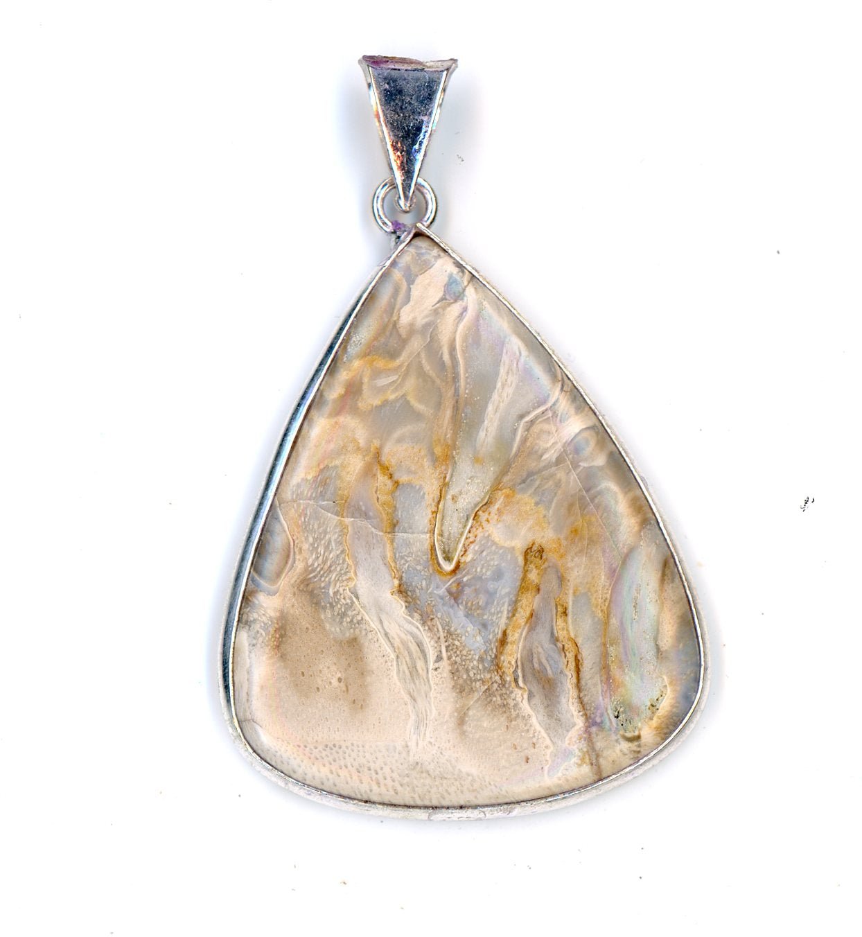 Přívěšek zkamenělá palma - Supreme Panthers