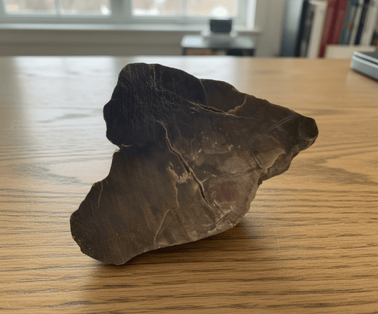 Prvhorní jehličnan typu Dadoxylon - Supreme Panthers