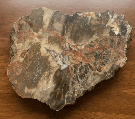 Prvhorní jehličnan typu Dadoxylon - Supreme Panthers