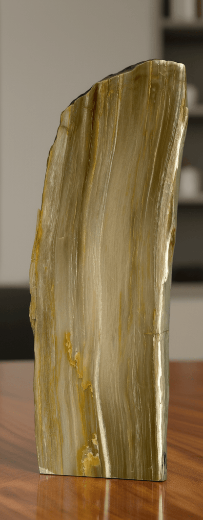 Prvohorní jehličnan - podélný řez - Supreme Panthers