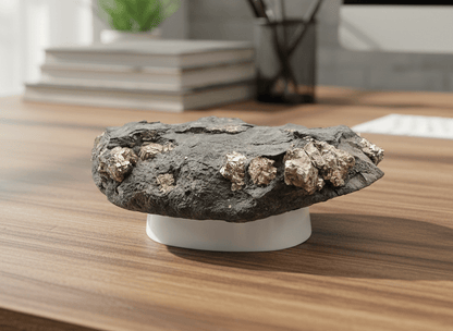 Pyrity v uhelné břidlici s otiskem listu - Supreme Panthers