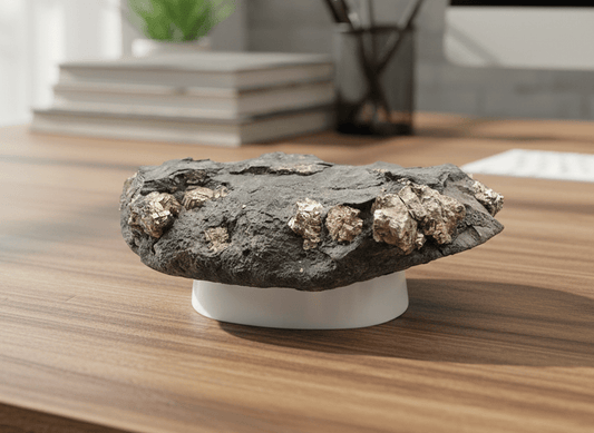 Pyrity v uhelné břidlici s otiskem listu - Supreme Panthers