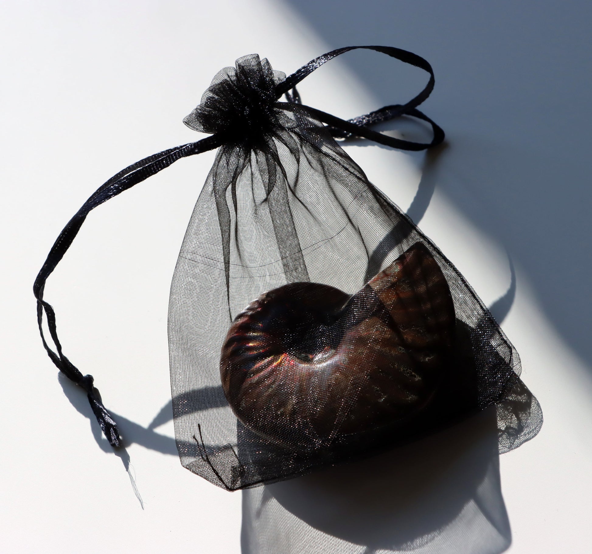 Pytlík průhledný černý dárkový - Supreme Panthers