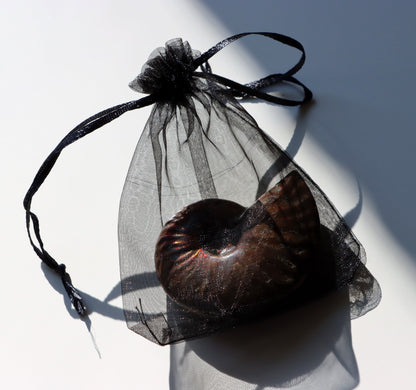 Pytlík průhledný černý dárkový - Supreme Panthers