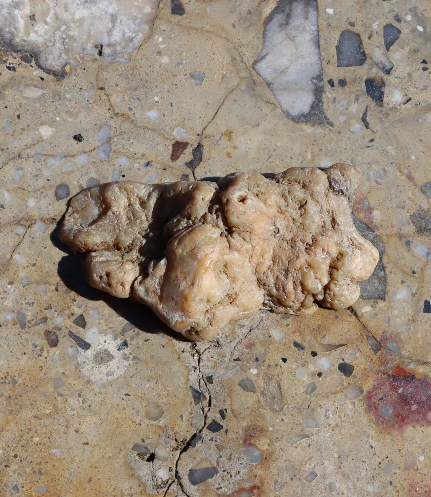 Rudická geoda s achátem a křišťálem - Supreme Panthers