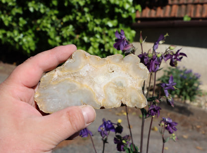 Rudická geoda s achátem a křišťálem - Supreme Panthers