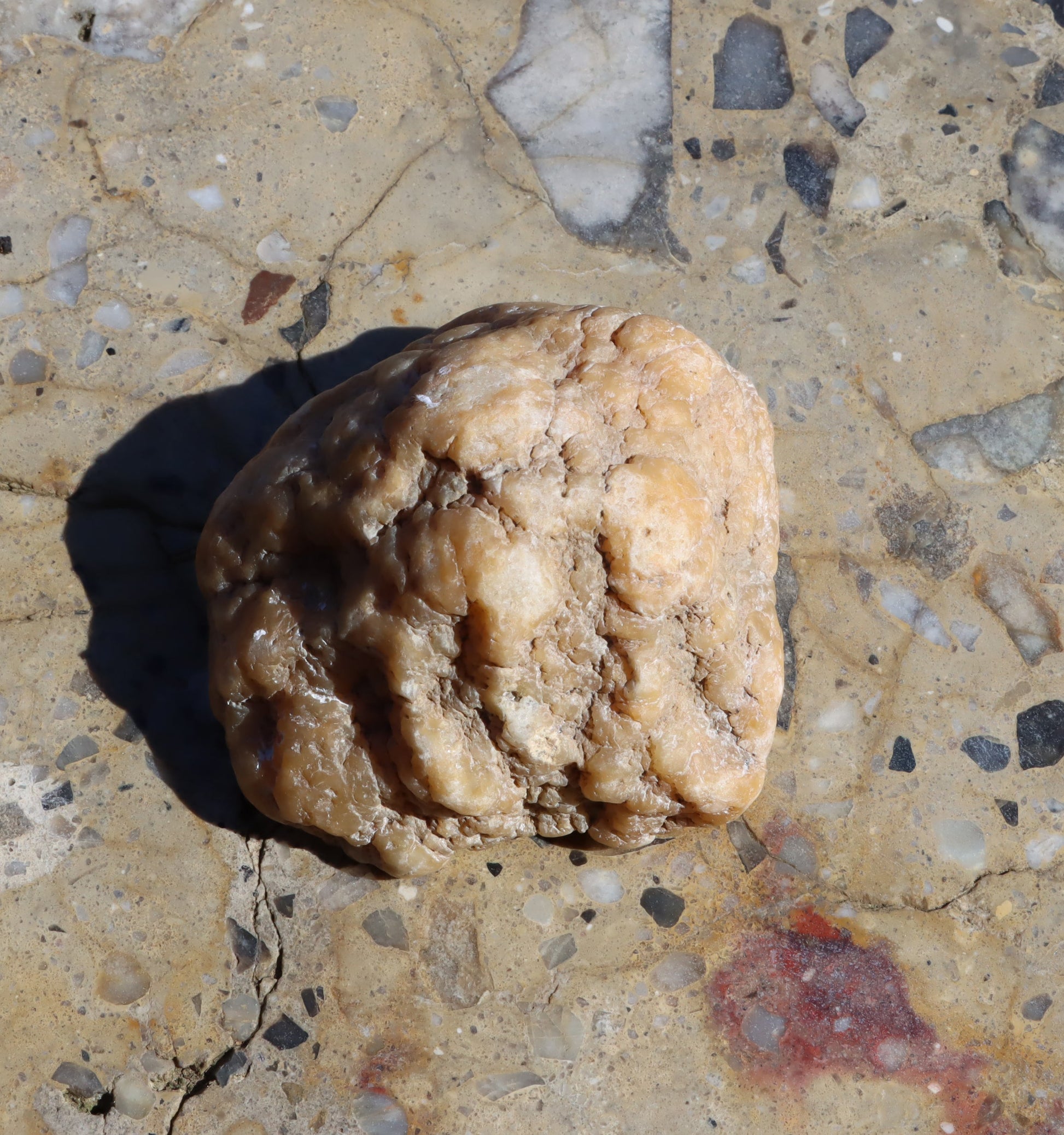 Rudická geoda s karneolem - Supreme Panthers