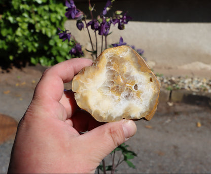 Rudická geoda s karneolem - Supreme Panthers