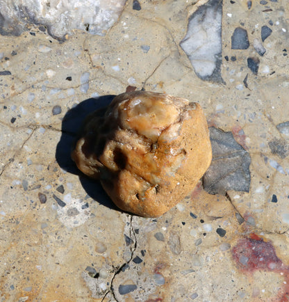 Rudická geoda s karneolem - Supreme Panthers