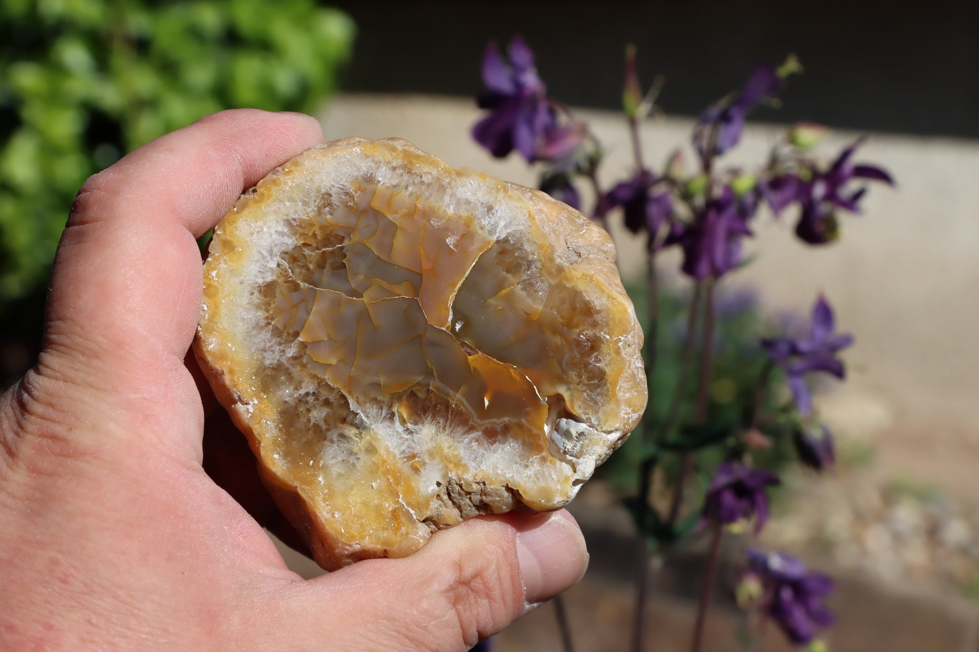 Rudická geoda s karneolem - Supreme Panthers