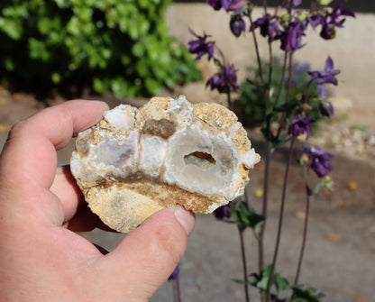 Rudická geoda s průhledným chalcedonem v rohovci - Supreme Panthers