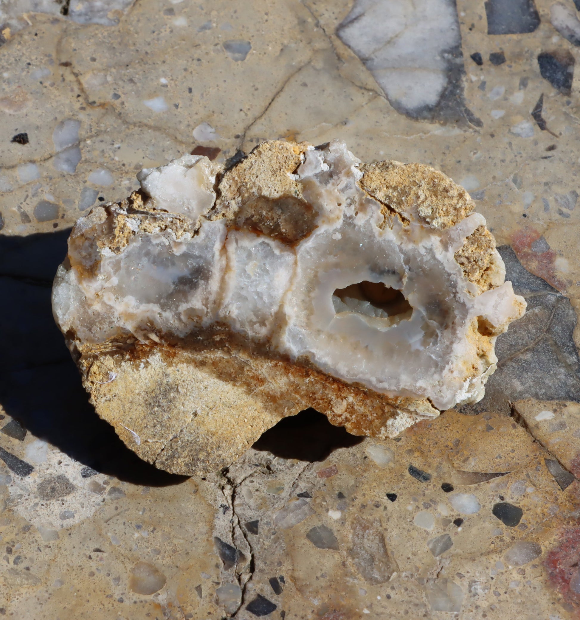 Rudická geoda s průhledným chalcedonem v rohovci - Supreme Panthers