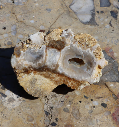 Rudická geoda s průhledným chalcedonem v rohovci - Supreme Panthers