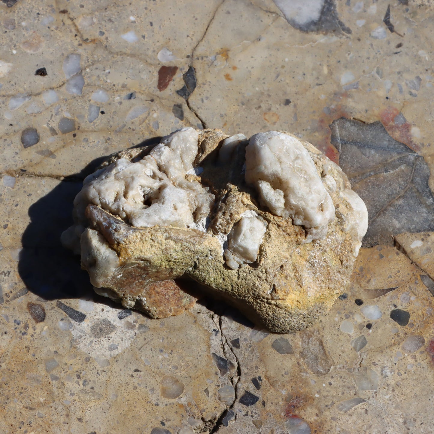 Rudická geoda s průhledným chalcedonem v rohovci - Supreme Panthers