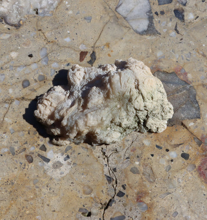 Rudická geoda s průsvitným chalcedonem - Supreme Panthers