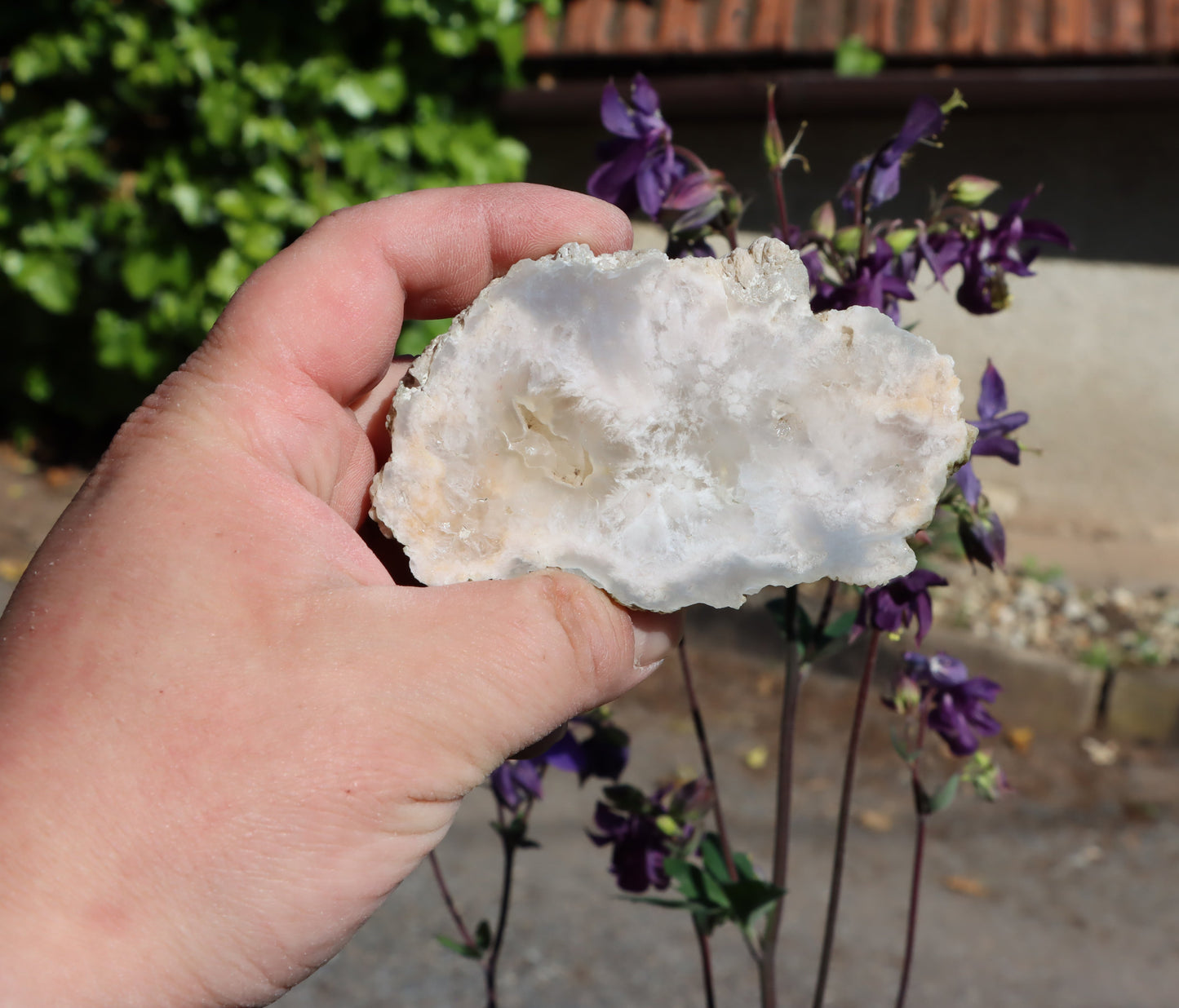 Rudická geoda s průsvitným chalcedonem - Supreme Panthers