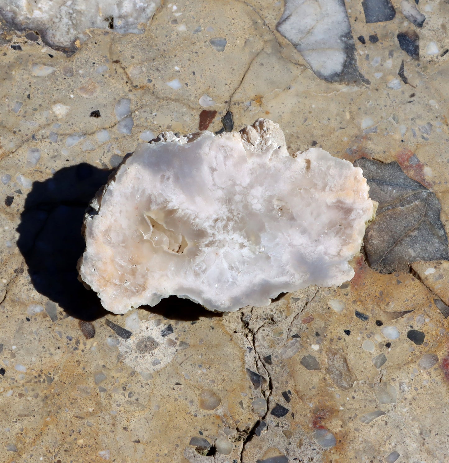 Rudická geoda s průsvitným chalcedonem - Supreme Panthers