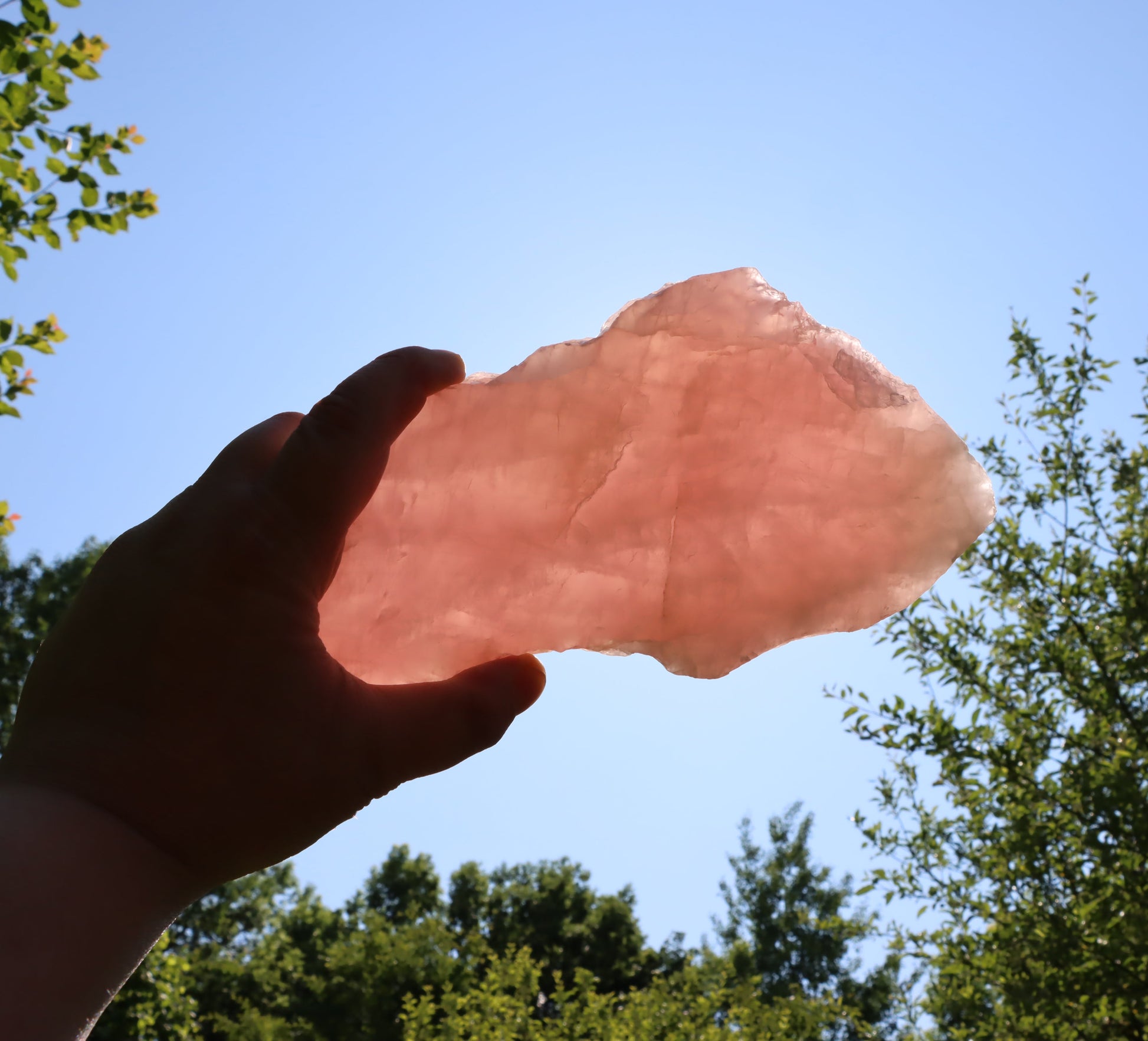 Růženín leštěný - Supreme Panthers