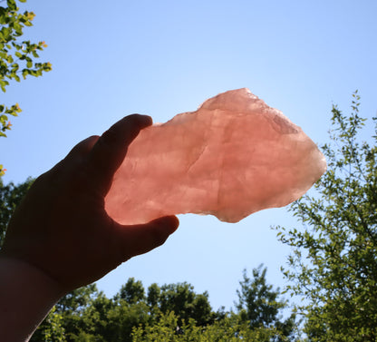 Růženín leštěný - Supreme Panthers