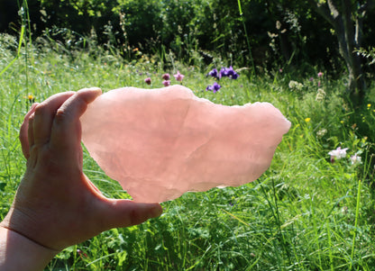 Růženín leštěný - Supreme Panthers