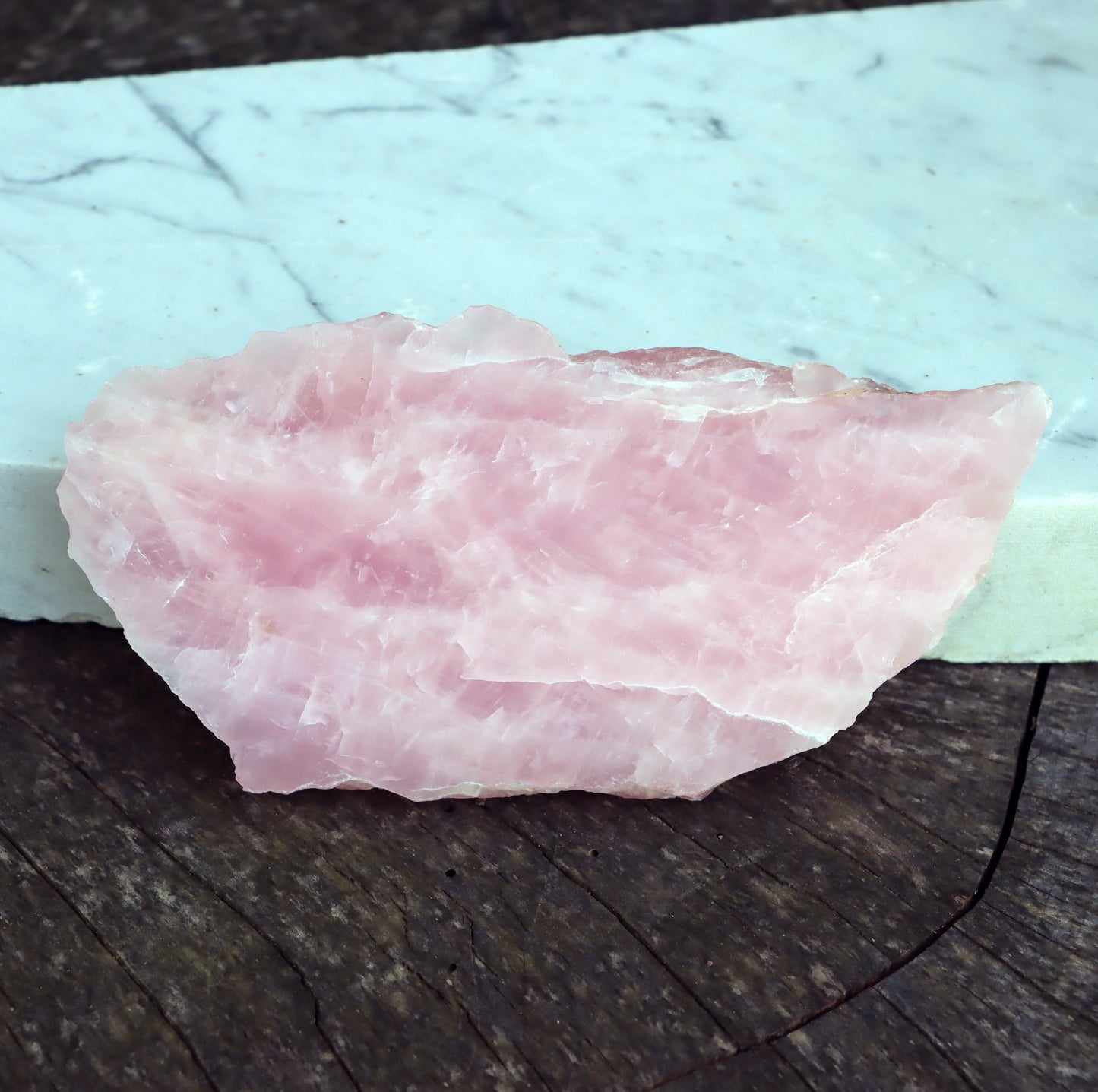 Růženín leštěný - Supreme Panthers