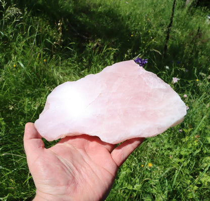 Růženín leštěný - Supreme Panthers