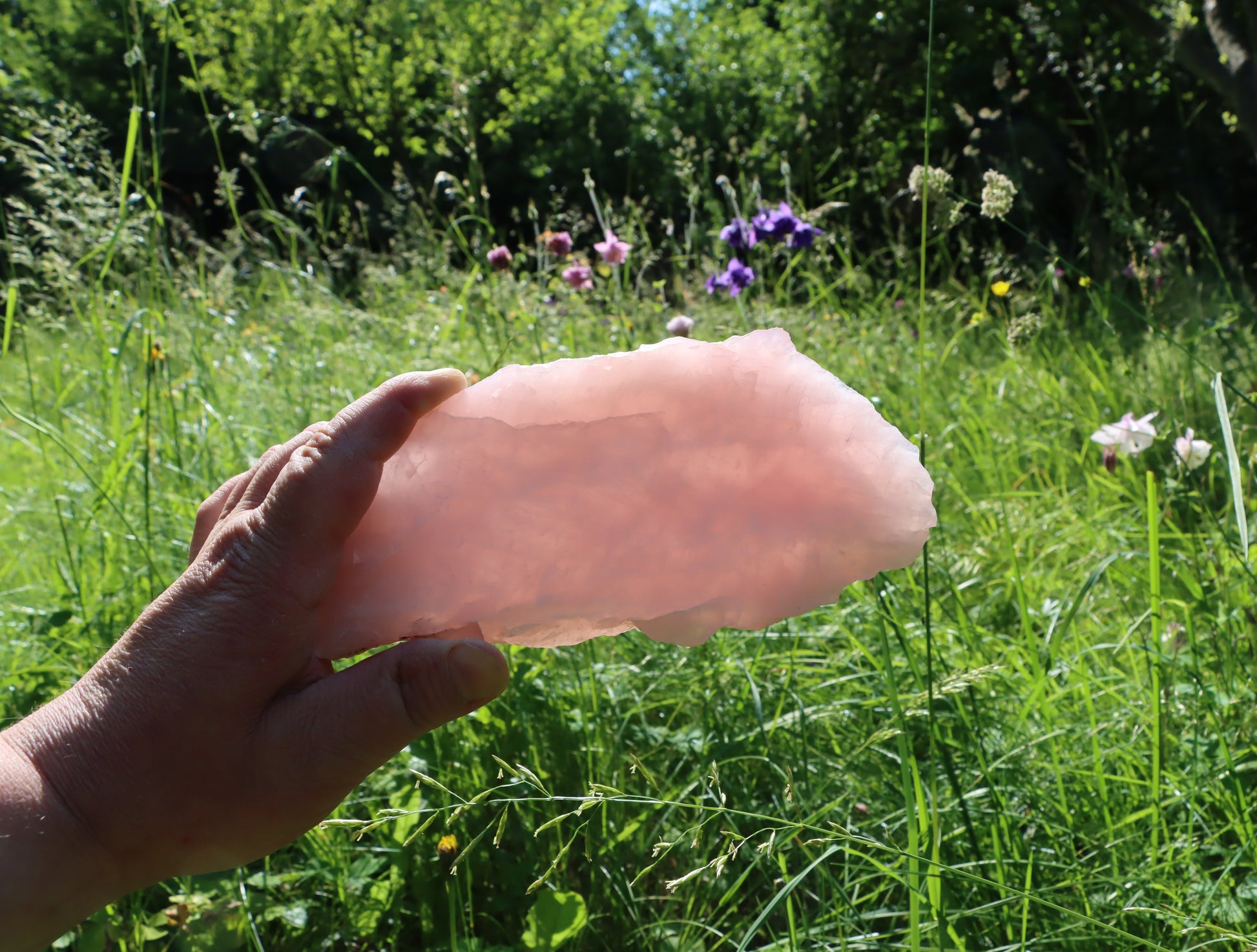 Růženín leštěný - Supreme Panthers