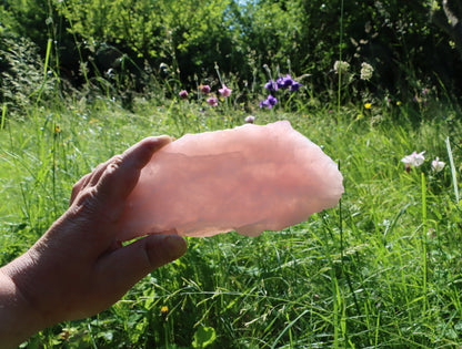 Růženín leštěný - Supreme Panthers