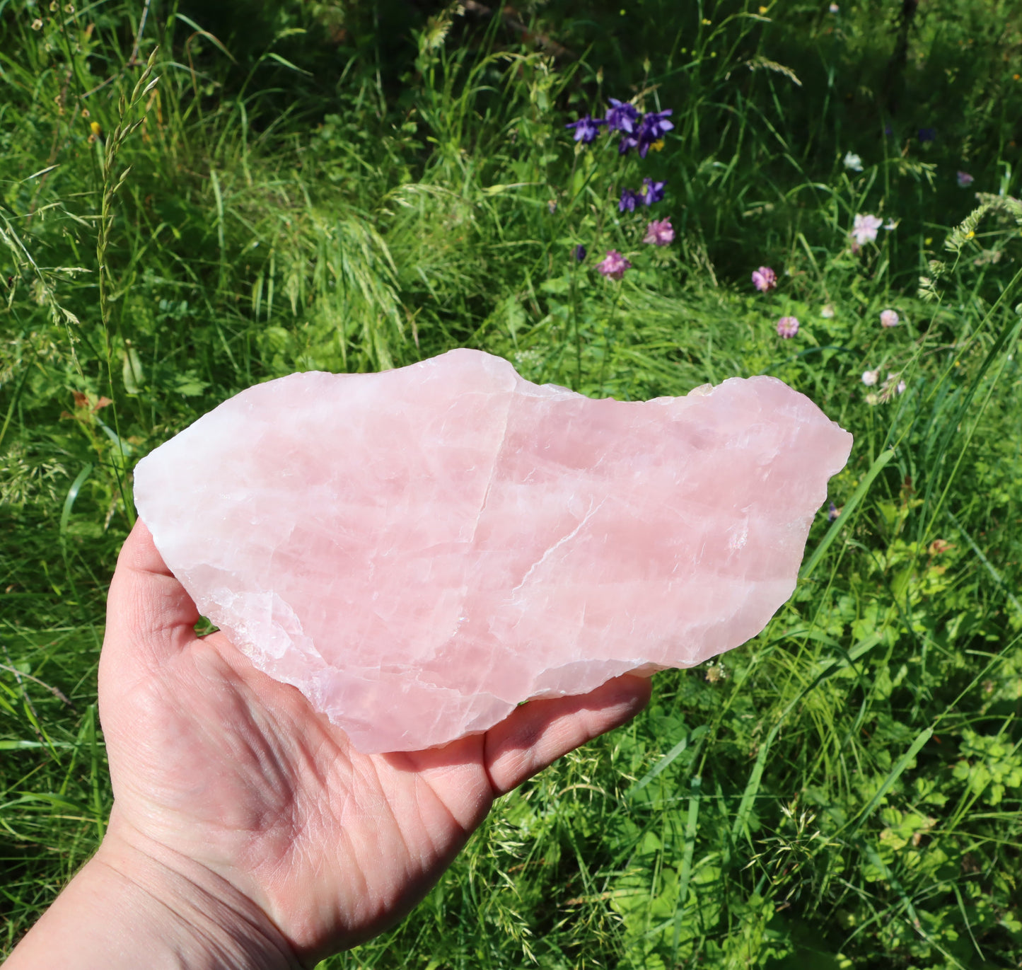 Růženín leštěný - Supreme Panthers