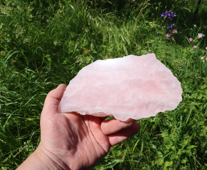 Růženín leštěný - Supreme Panthers