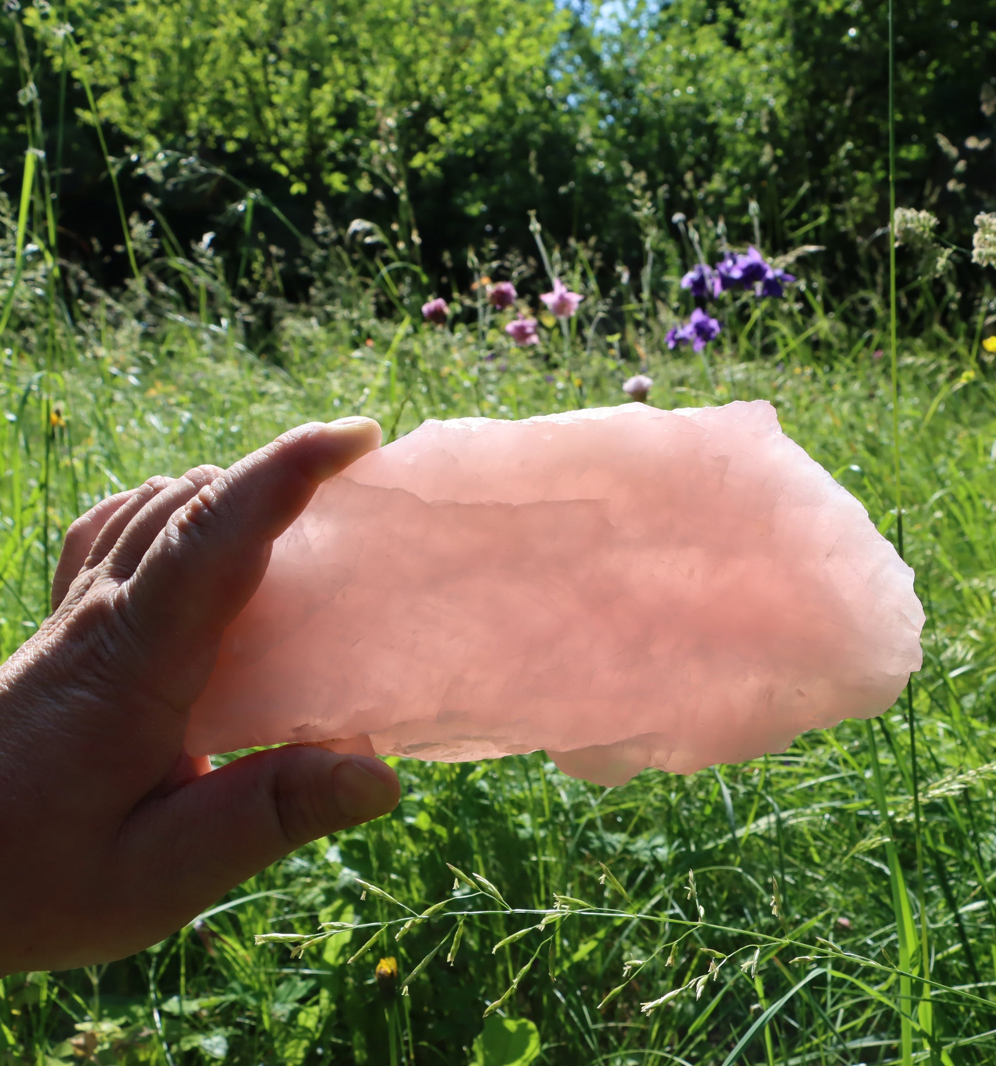 Růženín leštěný - Supreme Panthers