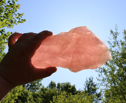 Růženín leštěný - Supreme Panthers