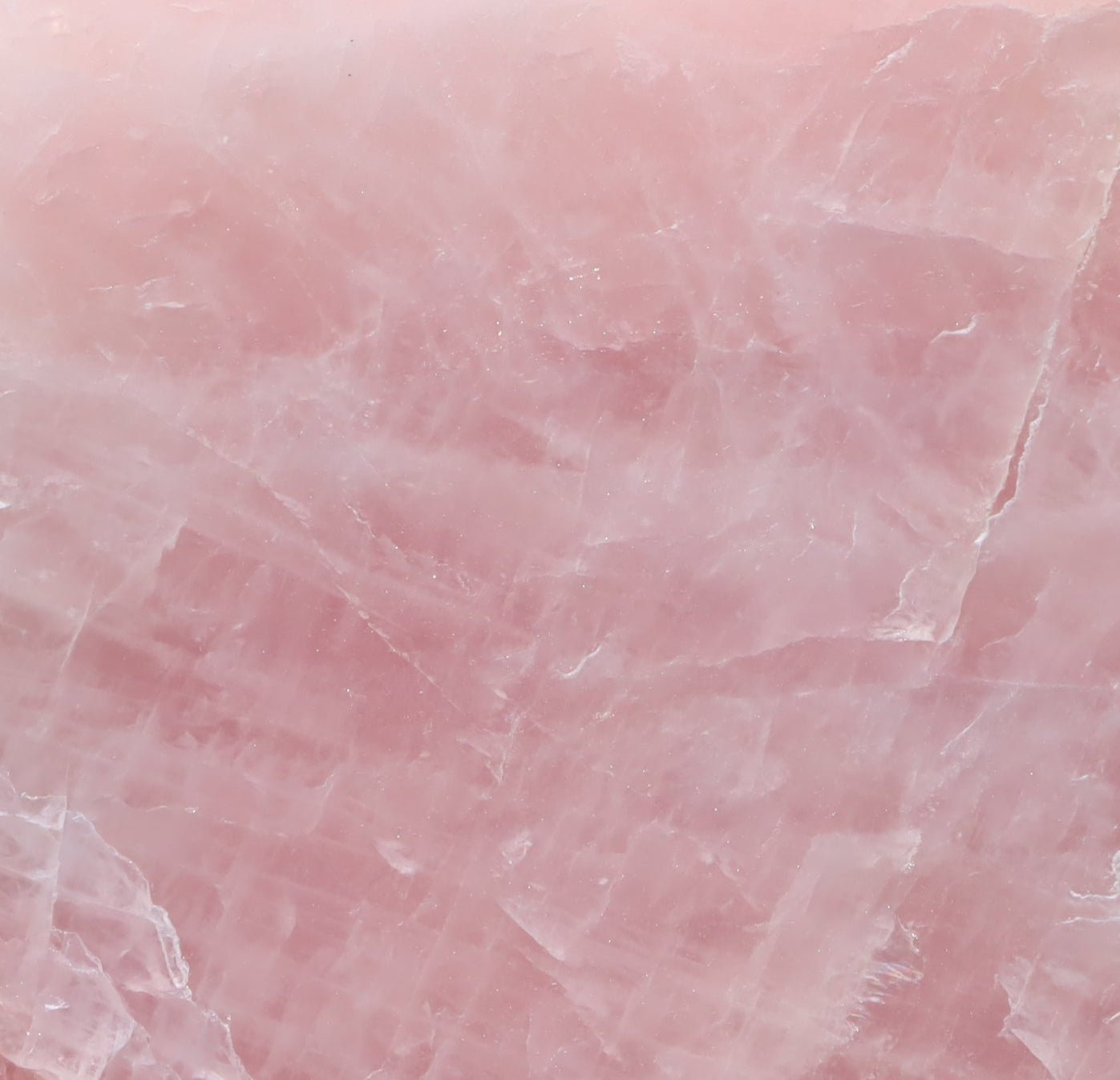 Růženín leštěný - Supreme Panthers