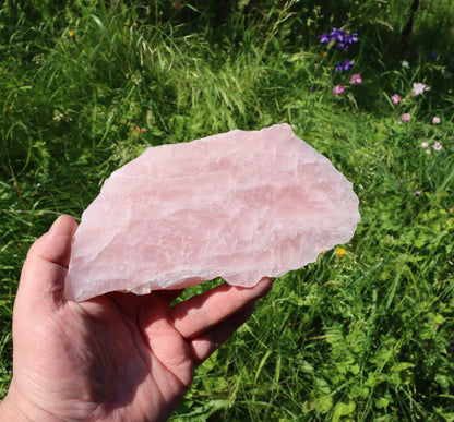 Růženín leštěný - Supreme Panthers