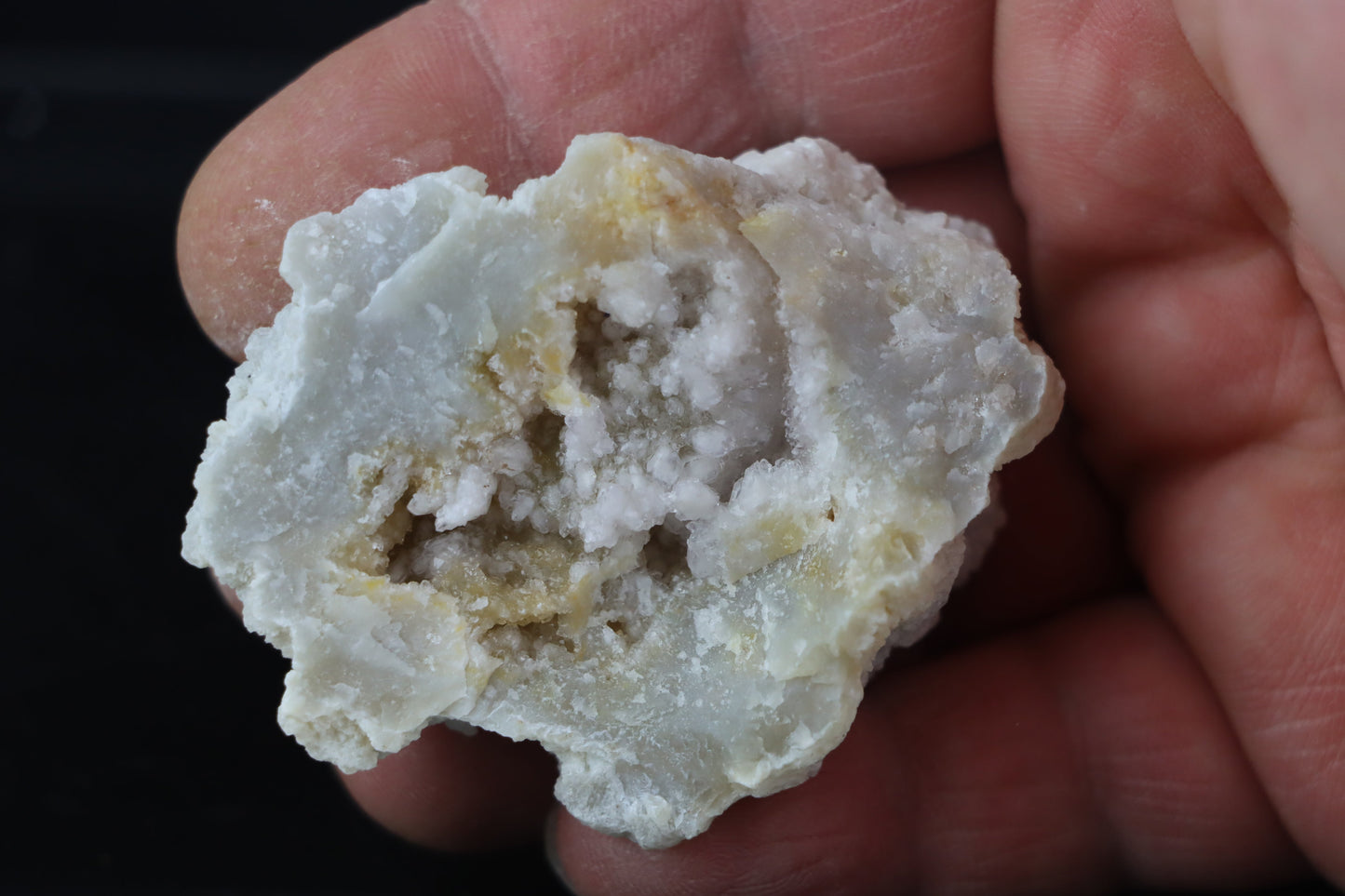 Růženín v modré geodě r. 2012 - Supreme Panthers