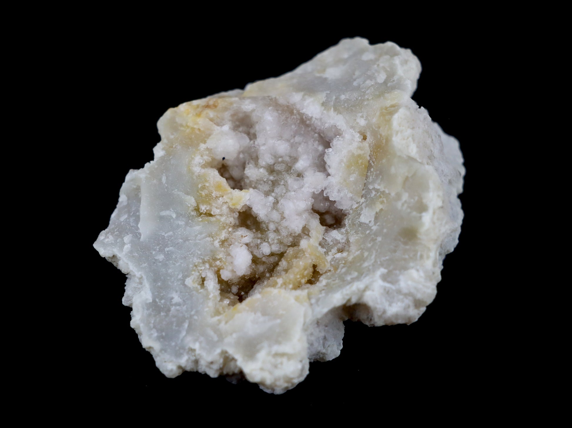 Růženín v modré geodě r. 2012 - Supreme Panthers