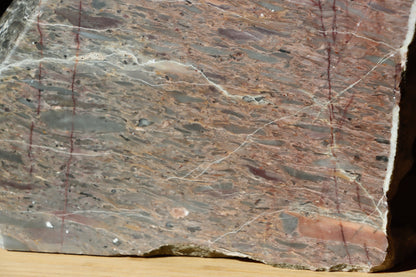 Růžový vápenec se zkamenělinami MONUMENT - Supreme Panthers