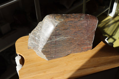 Růžový vápenec se zkamenělinami MONUMENT - Supreme Panthers