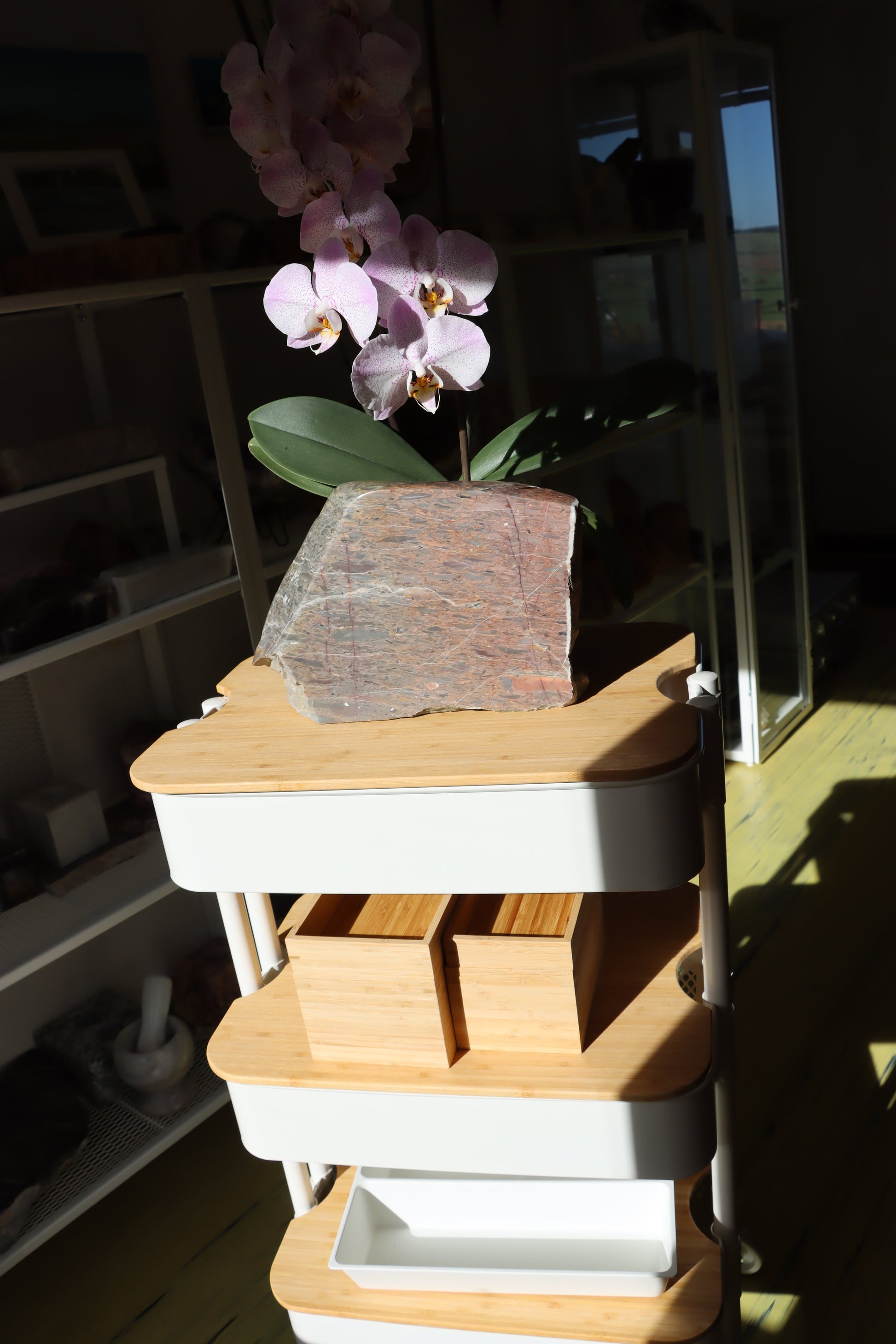 Růžový vápenec se zkamenělinami MONUMENT - Supreme Panthers