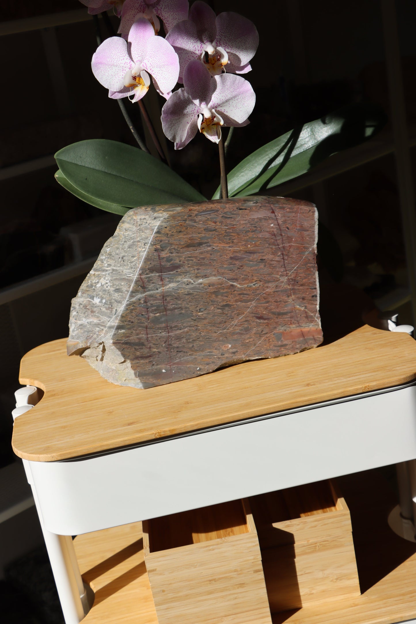 Růžový vápenec se zkamenělinami MONUMENT - Supreme Panthers