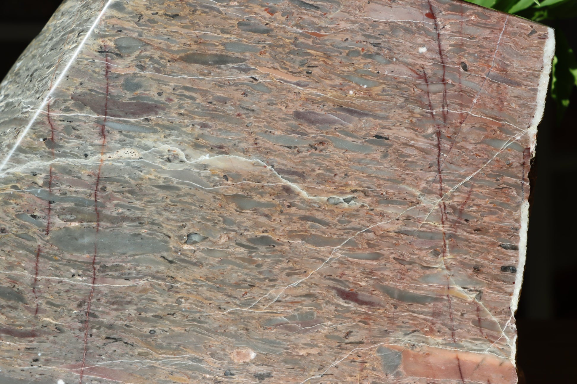 Růžový vápenec se zkamenělinami MONUMENT - Supreme Panthers