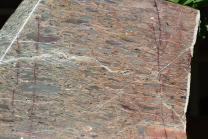 Růžový vápenec se zkamenělinami MONUMENT - Supreme Panthers