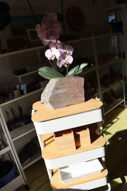 Růžový vápenec se zkamenělinami MONUMENT - Supreme Panthers